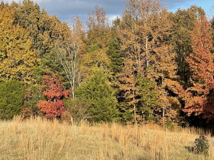 [The colors of Fall at Old Mountain Arboretum]